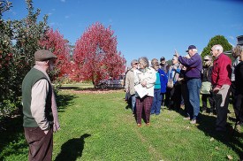 IMGP0499 Nightingale Apples Web
