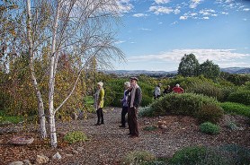 IMGP0694 Magpie Rise web